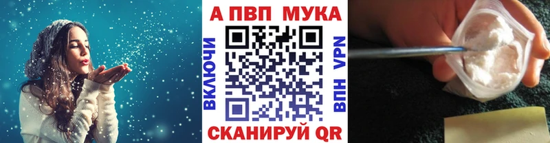 Альфа ПВП СК  Каргополь 
